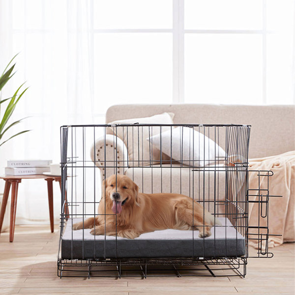 Tucker Murphy Pet™ Orthopedic Memory Foam Dog Bed, Anti Anxiety Bed For